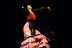 Tour en la Plaza de Toros de Las Ventas y Cena Flamenca (Madrid)