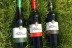 Escapada en Posadas de Granadilla y Visita Guiada a Bodegas Viña Placentina con Cata de 2 Vinos y Tapas para dos (Cáceres)