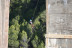 Puenting con Vídeo: Salto de 50 metros (El Mascarat, Alicante)
