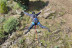 Puenting (Arbo, Pontevedra)
