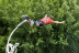 Puenting para dos (Madrid)