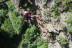 Puenting (Domingo) (Las Palmas, Gran Canaria)