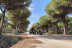 Ruta en Quad (Chiclana o Conil de la Frontera, Cádiz)