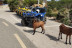 Ruta en Quad (Mallorca)