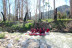 Rafting en el Río Segura con Reportaje Fotográfico y Almuerzo (Cieza - Blanca, Murcia) 