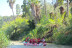 Rafting en el Río Segura con Reportaje Fotográfico y Almuerzo (Cieza - Blanca, Murcia) 