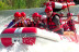 Rafting en el Río Segura con Reportaje Fotográfico y Almuerzo (Cieza - Blanca, Murcia) 