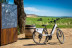Raimat Sobre Ruedas: Visita a Bodega, Paseo por Raimat Natura en Bicicleta Eléctrica y Degustación de Vinos y Cava (Lleida)
