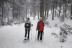 Bautizo de Raquetas de Nieve (La Molina, Girona)