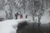 Bautizo de Raquetas de Nieve (La Molina, Girona)