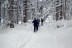 Ruta con Raquetas de Nieve por el Bosc del Gerdar (Lleida)