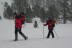 Ruta con Raquetas de Nieve por el Bosc del Gerdar (Lleida)