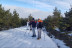 Ruta con Raquetas de Nieve en La Pinilla (Segovia)