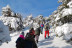 Ruta en Raquetas de Nieve por la Sierra de Madrid (Madrid)