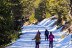 Raquetas de Nieve y Cena en Naturland (Andorra)