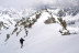 Excursión con Raquetas de Nieve (Espot, Lleida)
