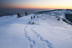 Raquetas de Nieve por la Noche (Navacerrada, Madrid)