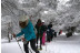 Excursión en Raquetas de Nieve por la Sierra de Guadarrama (Madrid)