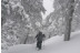 Excursión en Raquetas de Nieve por la Sierra de Guadarrama (Madrid)