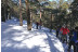 Excursión en Raquetas de Nieve por la Sierra de Guadarrama (Madrid)