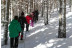 Ruta con Raquetas de Nieve por Santa Inés - Peñas Albas (Soria)