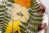 Experiencia Creativa con Resina Epoxi Floral (Barcelona)