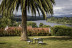Mesa para dos: Comida o Cena para dos personas en Parador de Tui (Pontevedra)