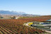 Comida en Restaurante Panorámico Vivanco (Briones, La Rioja)