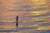Alquiler de Paddle Surf (Sanlúcar de Guadiana, Huelva)