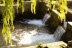 Visita a Caviar Riofrío con Degustación de Caviar (Riofrío, Granada)