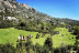 Ruta a Caballo por el Parque de Guadarrama y el Parque de La Pedriza (El Boalo, Madrid)