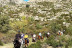 Ruta a Caballo por el Parque de Guadarrama y el Parque de La Pedriza (El Boalo, Madrid)