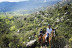 Ruta a Caballo por el Parque de Guadarrama y el Parque de La Pedriza (El Boalo, Madrid)
