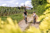 Ruta en Bicicleta y Visita Completa a Bodega con Degustación y Cata de Vinos en Bodega Miquel J. Jané (Barcelona)