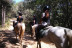 Ruta a Caballo y Visita a la Granja (Castellar del Vallès, Barcelona)