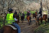 Ruta a Caballo por Sierra Oeste (Robledo de Chavela, Madrid)