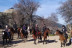 Ruta a Caballo por Sierra Oeste (Robledo de Chavela, Madrid)
