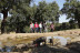 Ruta del Jabugo: Visita Guiada a la Dehesa, los Secaderos y a Bodegas Naturales con Cata de Jamón para dos (Corteconcepción, Huelva) 