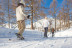 Ruta en Raquetas de Nieve con Fotos para dos (Huesca)