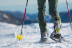 Ruta en Raquetas de Nieve con Fotos para dos (Huesca)