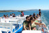 Ruta entre Bateas: Visita a los Cultivos de Mejillón en la Ría de Arousa (Pontevedra)