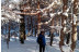 Ruta en Raquetas de Nieve con Luna Llena en Navacerrada (Madrid)