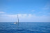Salida en Velero (Castelldefels, Barcelona)