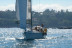 Salida en Velero (A Coruña)