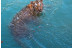 Safari Nocturno en Terra Natura Benidorm (Alicante)