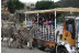 OFERTA: Visita al Safari Serengueti y Entrada a Selwo Aventura (Málaga)