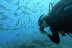Discover Scuba Diving: Bautismo de Buceo (Tenerife)