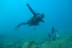 Discover Scuba Diving: Bautismo de Buceo (Tenerife)