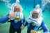 Sea Trek (Playa del Jablillo, Lanzarote)