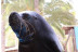Entrada a Sea Lion Experience en Oasis Wildlife Fuerteventura (La Lajita, Fuerteventura)